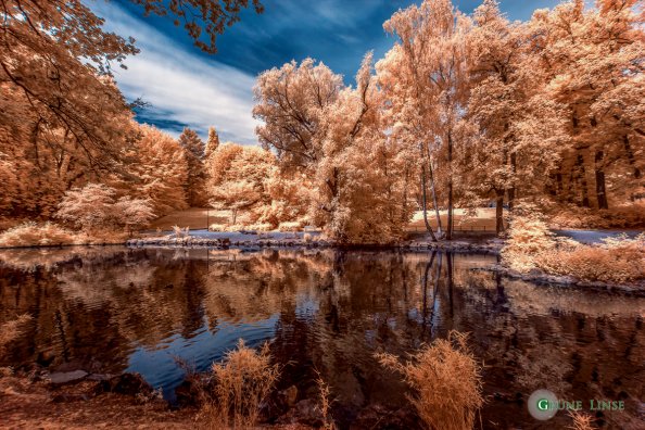 Röhrensee (Bayreuth) - Infrarot