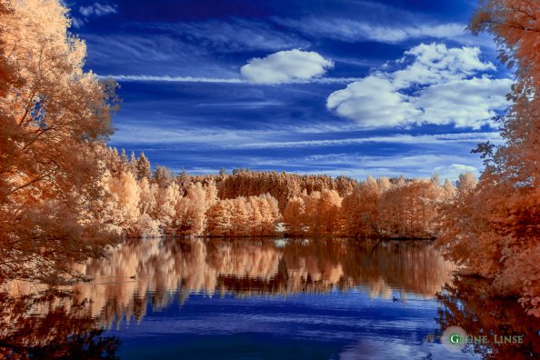 IR Foto - LR Blau Sättigung