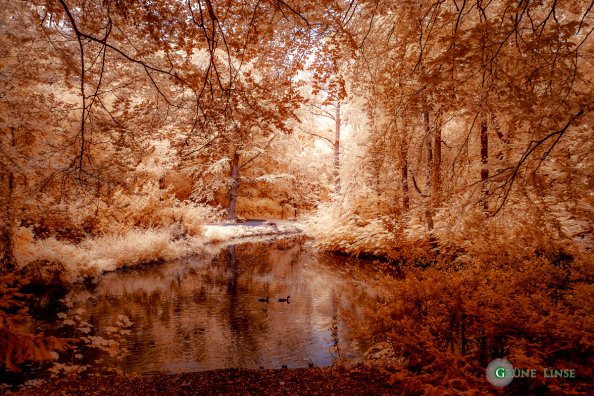 Tiergarten (Berlin) - Infrarot