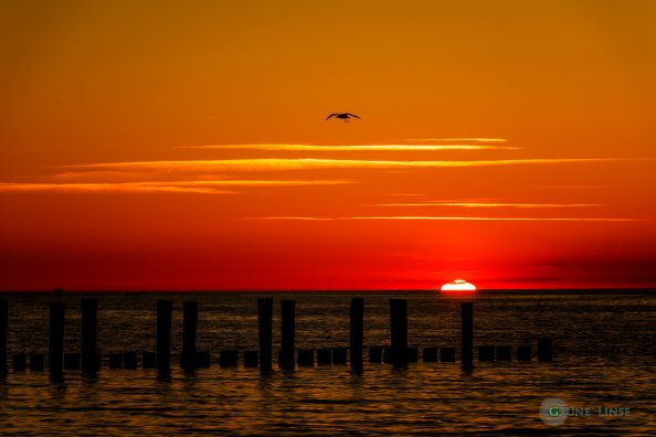 Sonnenuntergang Zingst - Seebrücke