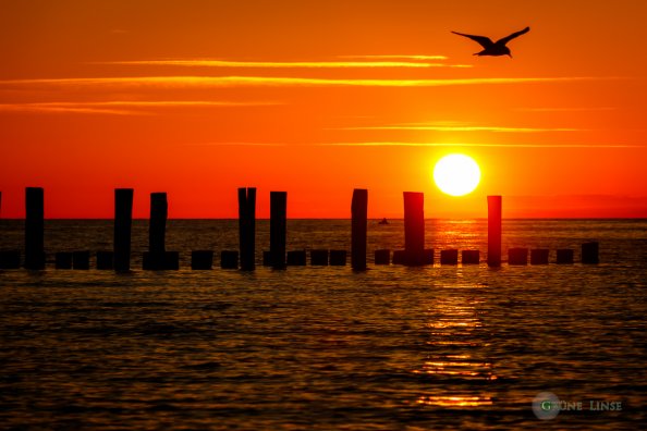 Sonnenuntergang Zingst - Seebrücke