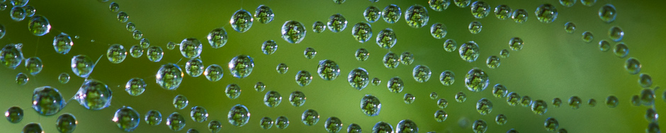 headerpic-3